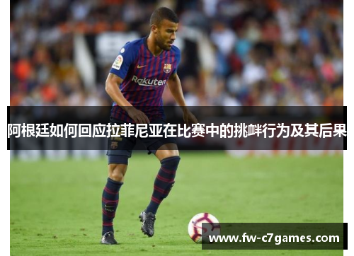 阿根廷如何回应拉菲尼亚在比赛中的挑衅行为及其后果