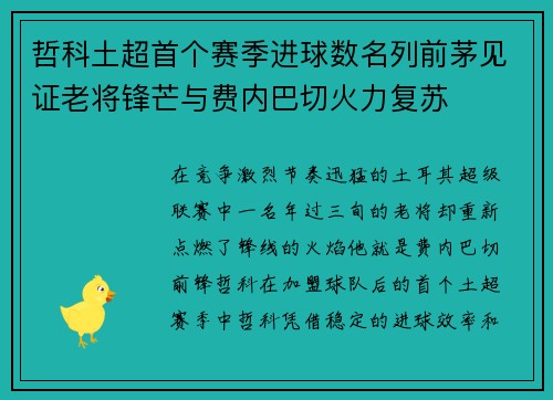 哲科土超首个赛季进球数名列前茅见证老将锋芒与费内巴切火力复苏